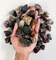 Raw Bloodstone Crystals from India - Bulk Rough Stones